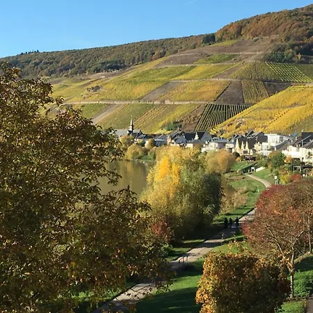 Mosellage Zell an der Mosel