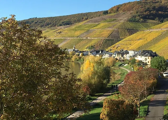 Mosellage Zell an der Mosel