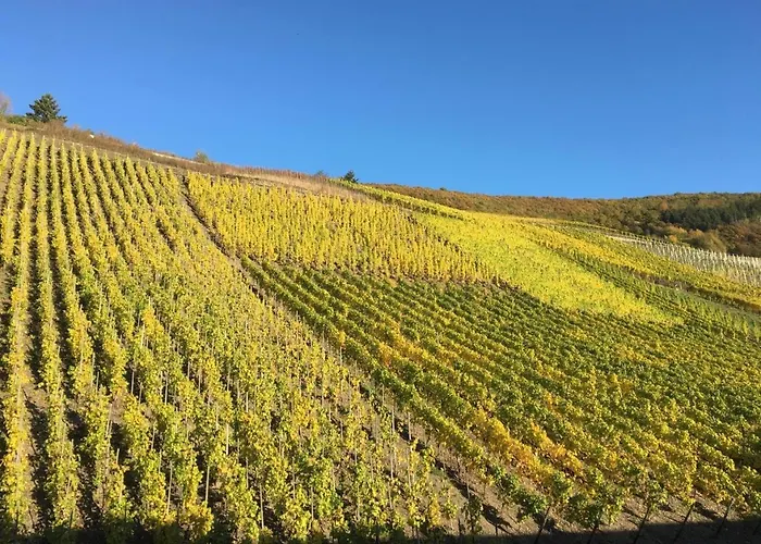 Appartamento Mosellage